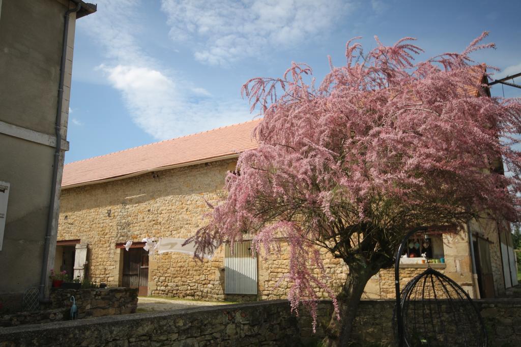 Anlhiac La Maison Du Bonheur מראה חיצוני תמונה